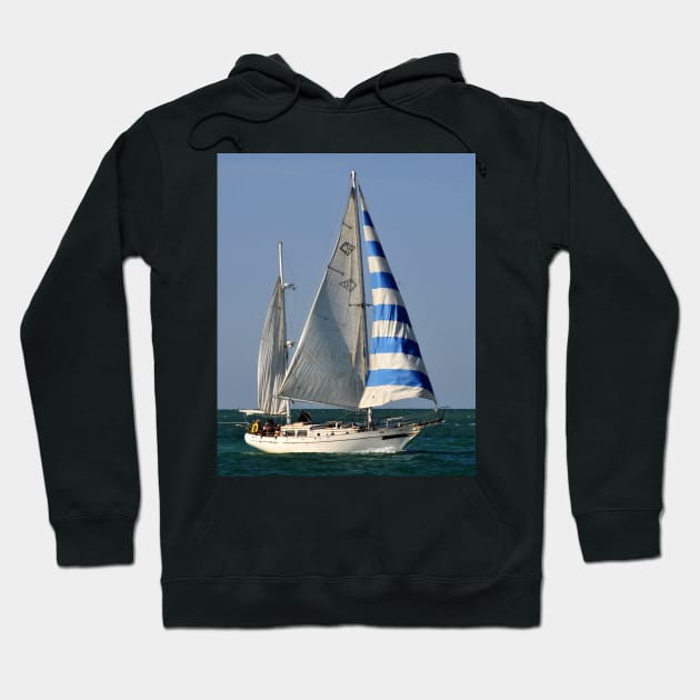 Sailing fun Hoodie by dltphoto